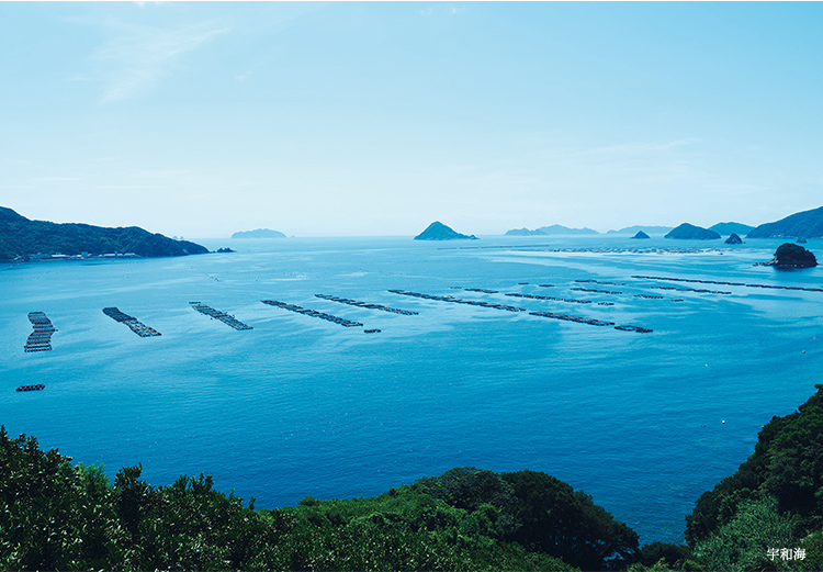宇和海