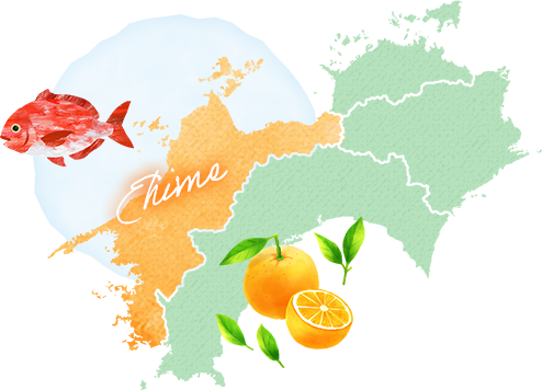 愛媛県　地図イメージ