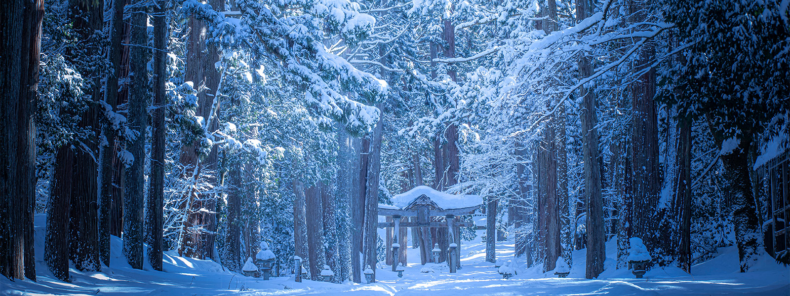 冬の白山平泉寺