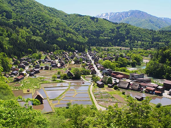 岐阜の【ユネスコ世界文化遺産】白川郷合掌造り集落