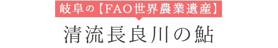 岐阜の【FAO世界農業遺産】清流長良川の鮎