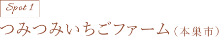 つみつみいちごファーム(本巣市)