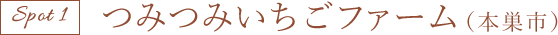 つみつみいちごファーム(本巣市)