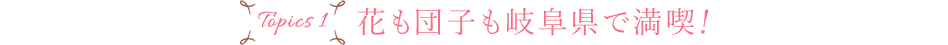 Topics1 花も団子も岐阜県で満喫!
