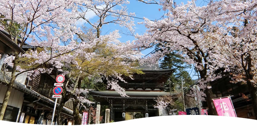 谷汲山華厳寺(揖斐川町)
