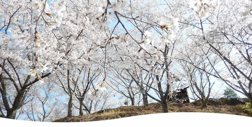 苗木さくら公園(中津川市)