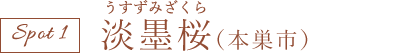 淡墨桜(本巣市)