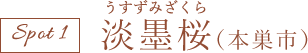 淡墨桜(本巣市)