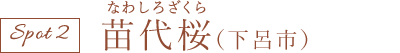 苗代桜(下呂市)