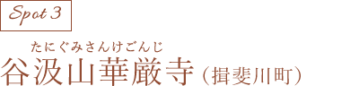 谷汲山華厳寺(揖斐川町)