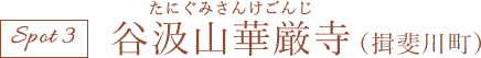 谷汲山華厳寺(揖斐川町)