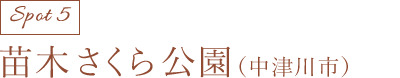 苗木さくら公園(中津川市)