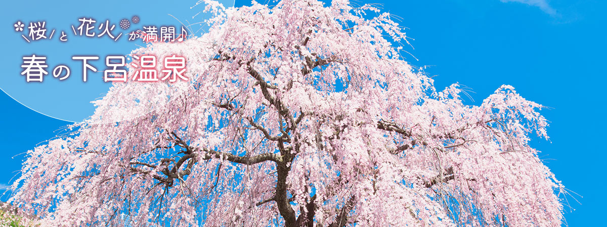 桜と花火が満開♪春の下呂温泉