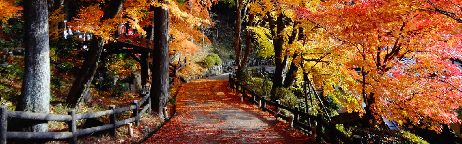 日本三名泉 下呂温泉を満喫 ゆったりと秋旅 楽天トラベル