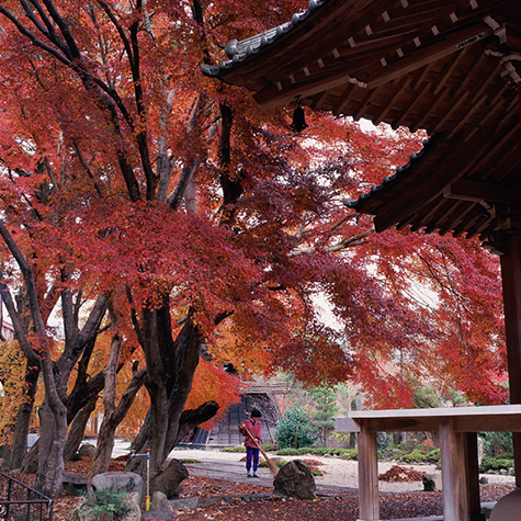 玉龍寺