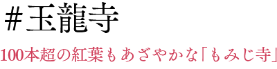 #玉龍寺 100本超の紅葉もあざやかな「もみじ寺」