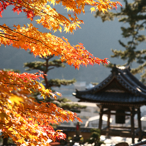 温泉寺