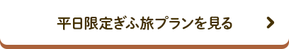 平日限定ぎふ旅プランを見る