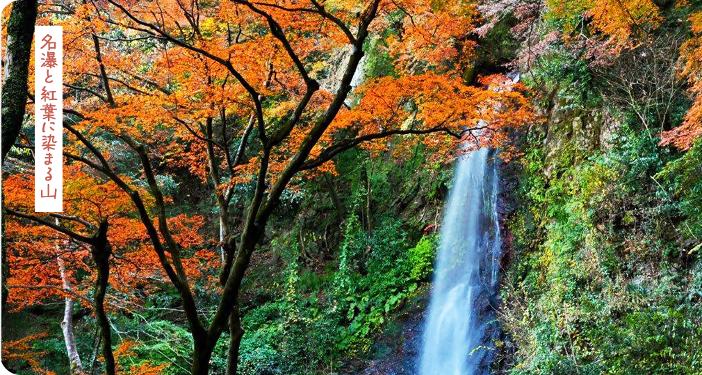 名瀑と紅葉に染まる山