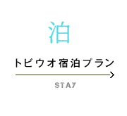 トビウオ宿泊プラン