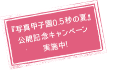 『写真甲子園0.5秒の夏』
