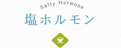 塩ホルモン