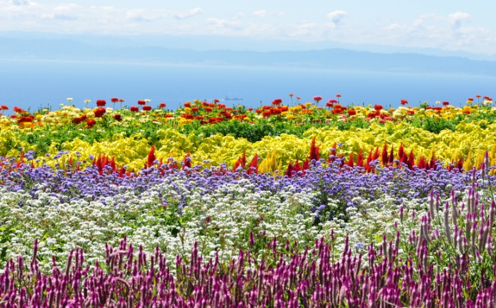 あわじ花さじき