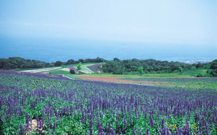 あわじ花さじき