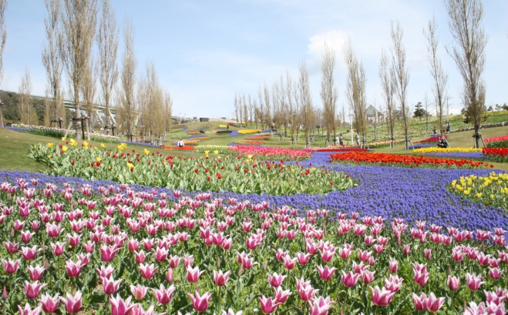 国営明石海峡公園