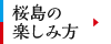 桜島の楽しみ方