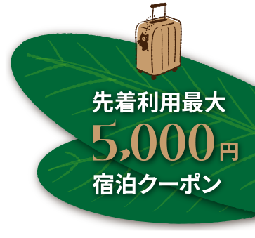 先着利用最大5,000円宿泊クーポン