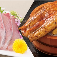 ぶり・かんぱち・うなぎ
