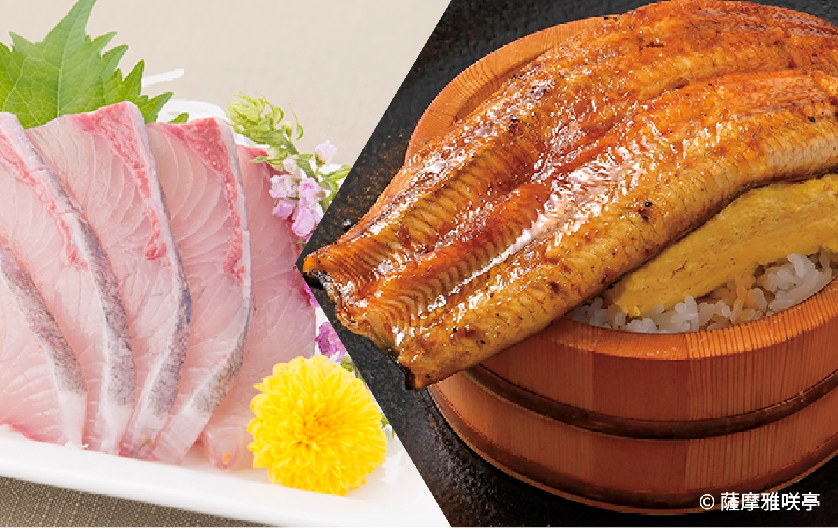 ぶり・かんぱち・うなぎ