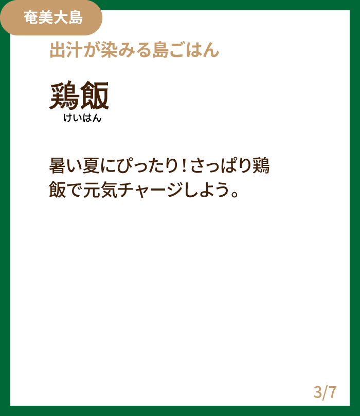 鶏飯