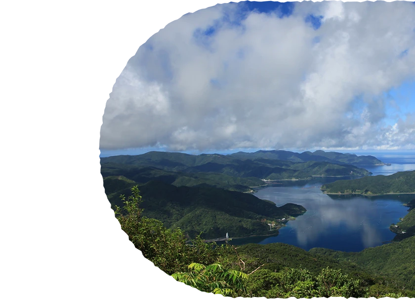 湯湾岳サイクリング