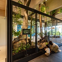 徳之島世界遺産センター