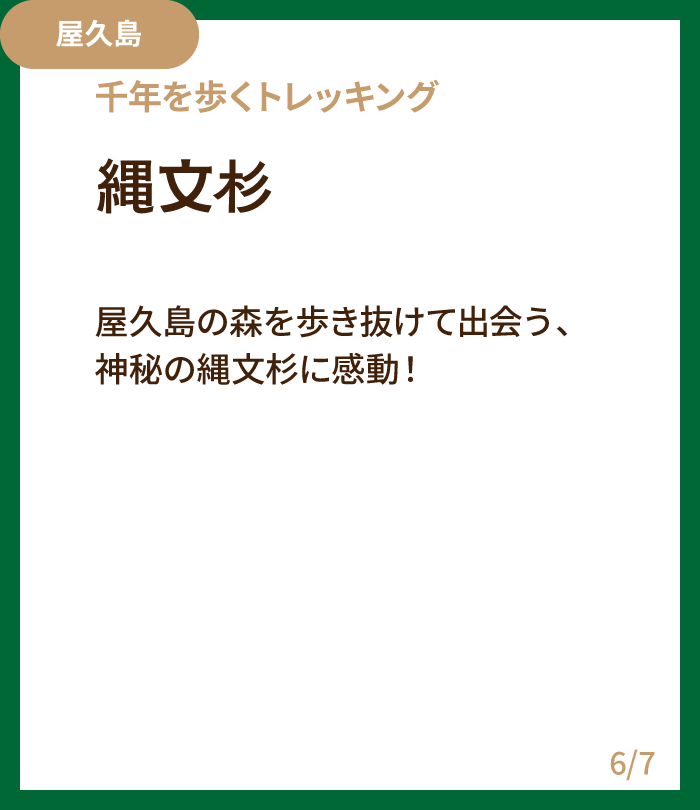 縄文杉