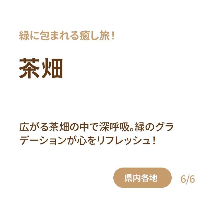 茶畑