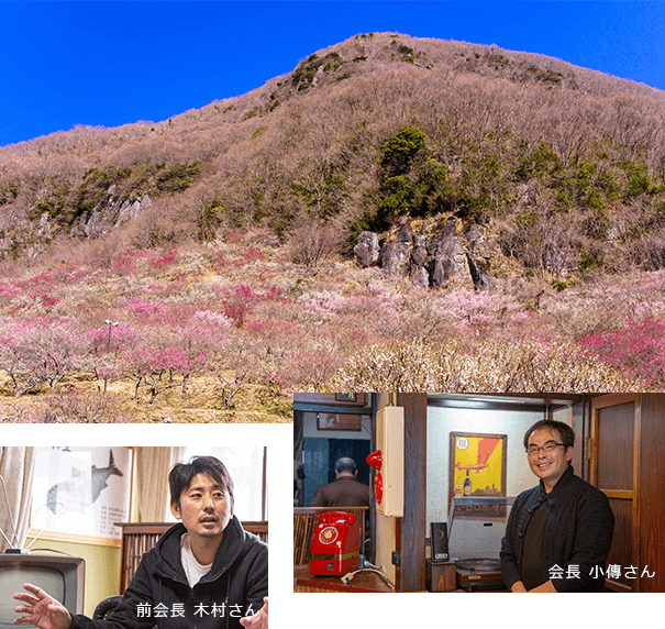 「梅のじゅうたん」のような絶景！