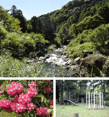 幕山公園