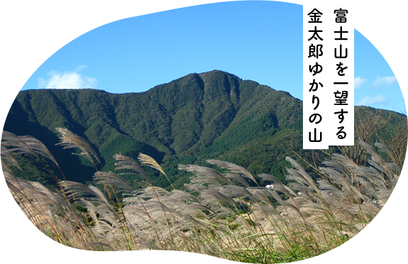 富士山を一望する金太郎ゆかりの山