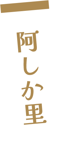 阿しか里