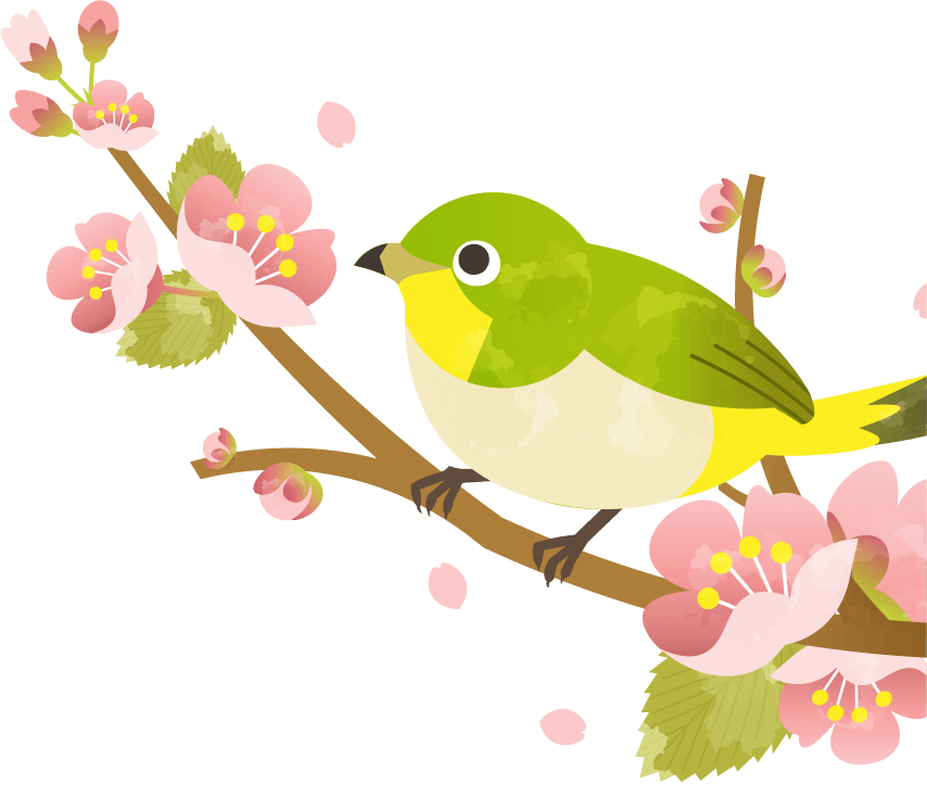 桜とメジロ