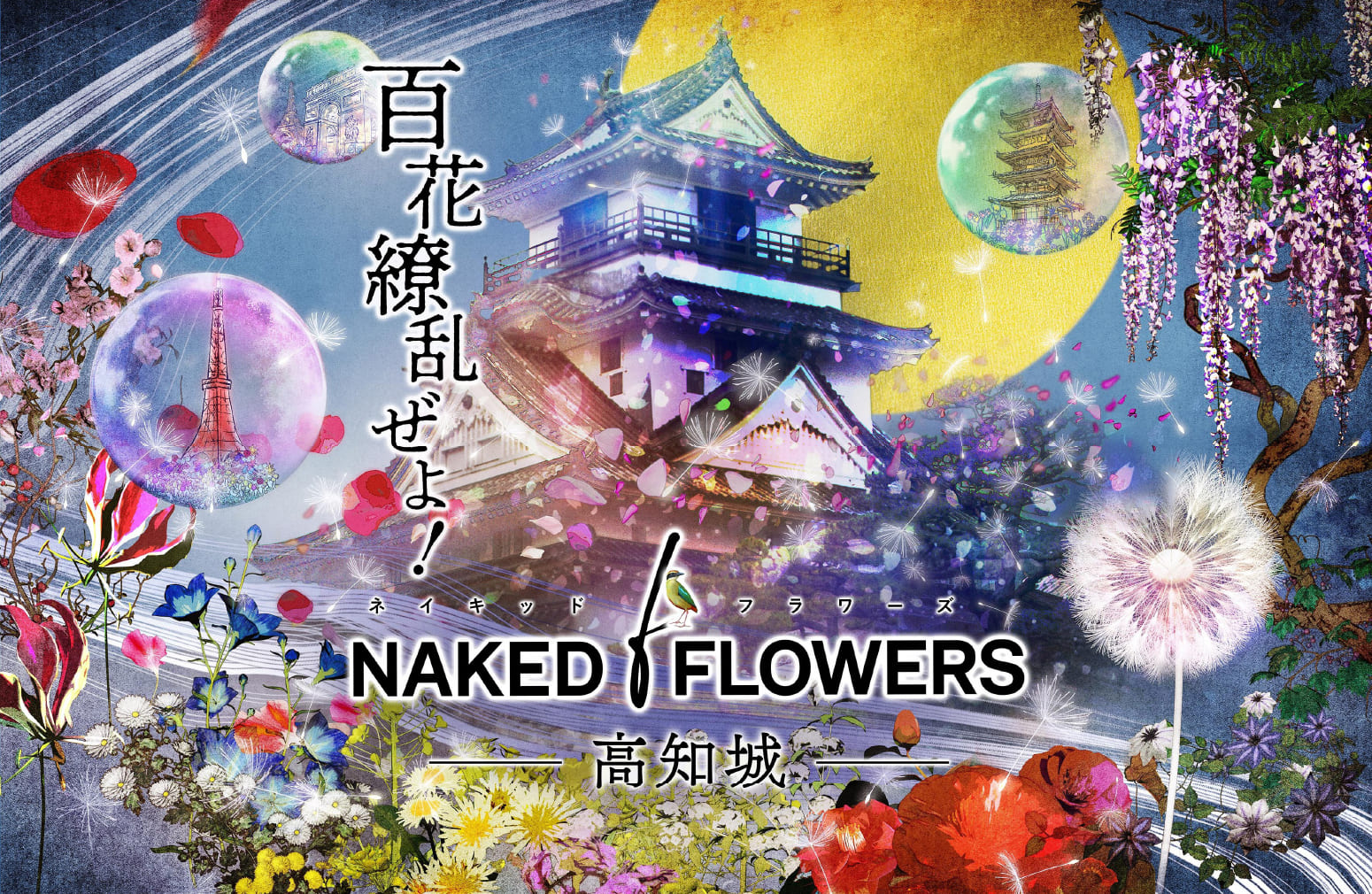 百花繚乱ぜよ！NAKED FLOWERS-高知城- 【楽天トラベル】