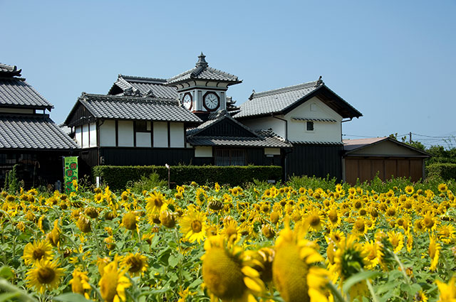 野良時計（安芸市）