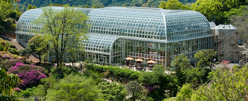 牧野植物園