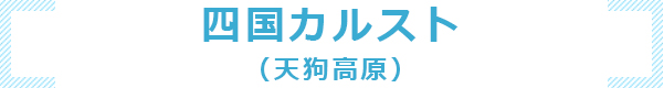 四国カルスト（天狗高原）