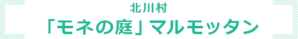 北川村 「モネの庭」マルモッタン