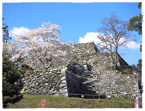 田丸城跡