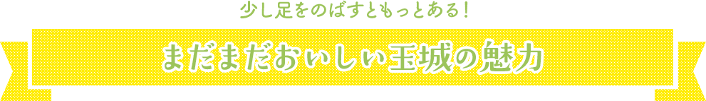 少し足をのばすともっとある！まだまだおいしい玉城の魅力